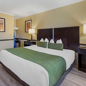 King Room Mobility accessible